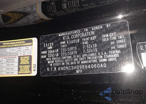 2024 Kia Carnival Mpv Ex из США, поврежденный, VIN KNDNC5H39R6406040